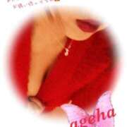 ヒメ日記 2024/12/21 19:31 投稿 あげは 丸妻 新横浜店