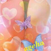 ヒメ日記 2024/12/28 17:02 投稿 あげは 丸妻 新横浜店