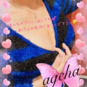 ヒメ日記 2024/12/29 06:01 投稿 あげは 丸妻 新横浜店