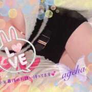 ヒメ日記 2024/12/30 03:00 投稿 あげは 丸妻 新横浜店