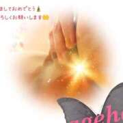 ヒメ日記 2025/01/04 12:09 投稿 あげは 丸妻 新横浜店