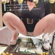 ヒメ日記 2025/01/07 14:03 投稿 あげは 丸妻 新横浜店