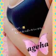 ヒメ日記 2025/01/20 14:03 投稿 あげは 丸妻 新横浜店