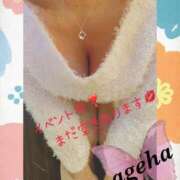 ヒメ日記 2025/02/20 16:01 投稿 あげは 丸妻 新横浜店