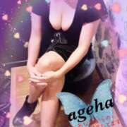 ヒメ日記 2025/02/22 14:01 投稿 あげは 丸妻 新横浜店