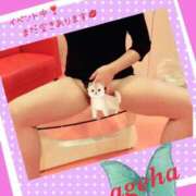 ヒメ日記 2025/03/14 19:45 投稿 あげは 丸妻 新横浜店