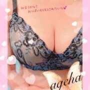 ヒメ日記 2025/03/24 16:01 投稿 あげは 丸妻 新横浜店