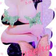 ヒメ日記 2025/03/27 18:30 投稿 あげは 丸妻 新横浜店