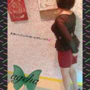 ヒメ日記 2025/03/29 03:30 投稿 あげは 丸妻 新横浜店