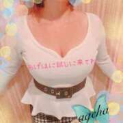 ヒメ日記 2025/04/01 14:01 投稿 あげは 丸妻 新横浜店