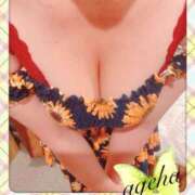 ヒメ日記 2025/04/11 02:45 投稿 あげは 丸妻 新横浜店