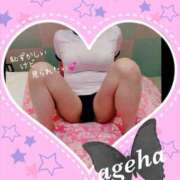 ヒメ日記 2025/04/15 11:05 投稿 あげは 丸妻 新横浜店