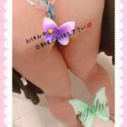 ヒメ日記 2025/04/20 10:00 投稿 あげは 丸妻 新横浜店