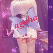 ヒメ日記 2025/04/25 16:01 投稿 あげは 丸妻 新横浜店