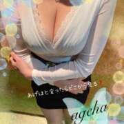 ヒメ日記 2025/05/11 12:06 投稿 あげは 丸妻 新横浜店