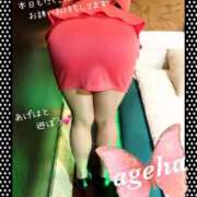 ヒメ日記 2025/06/03 16:05 投稿 あげは 丸妻 新横浜店