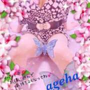 ヒメ日記 2025/06/06 16:15 投稿 あげは 丸妻 新横浜店