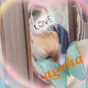 ヒメ日記 2025/06/11 00:30 投稿 あげは 丸妻 新横浜店