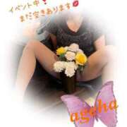 ヒメ日記 2025/06/12 21:13 投稿 あげは 丸妻 新横浜店