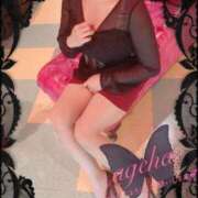 ヒメ日記 2025/07/24 01:15 投稿 あげは 丸妻 新横浜店