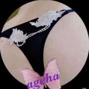 ヒメ日記 2025/08/05 14:01 投稿 あげは 丸妻 新横浜店