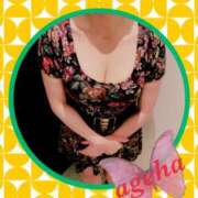 ヒメ日記 2025/09/07 21:00 投稿 あげは 丸妻 新横浜店