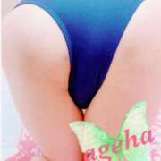 ヒメ日記 2025/09/08 22:05 投稿 あげは 丸妻 新横浜店