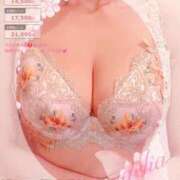 ヒメ日記 2025/09/12 16:05 投稿 あげは 丸妻 新横浜店