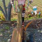 ヒメ日記 2026/04/08 07:54 投稿 エミリー 即アポ奥さん ～津・松阪店～