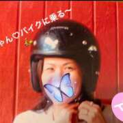 ヒメ日記 2024/12/12 11:00 投稿 綾野　れ　ん La elf（ラ・エルフ）