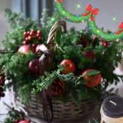 ヒメ日記 2024/12/24 23:58 投稿 綾野　れ　ん La elf（ラ・エルフ）