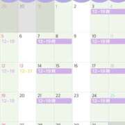 ヒメ日記 2024/12/25 10:53 投稿 綾野　れ　ん La elf（ラ・エルフ）