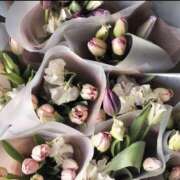 ヒメ日記 2025/02/08 11:03 投稿 綾野　れ　ん La elf（ラ・エルフ）