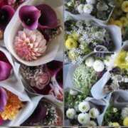 ヒメ日記 2025/02/09 23:43 投稿 綾野　れ　ん La elf（ラ・エルフ）