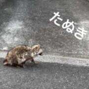 ヒメ日記 2025/02/18 11:03 投稿 綾野　れ　ん La elf（ラ・エルフ）