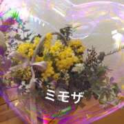 ヒメ日記 2025/03/06 13:13 投稿 綾野　れ　ん La elf（ラ・エルフ）