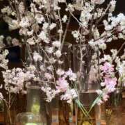 ヒメ日記 2025/03/15 14:13 投稿 綾野　れ　ん La elf（ラ・エルフ）