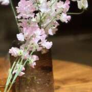 ヒメ日記 2025/03/16 00:03 投稿 綾野　れ　ん La elf（ラ・エルフ）