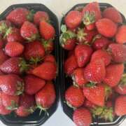 ヒメ日記 2025/04/25 10:53 投稿 綾野　れ　ん La elf（ラ・エルフ）