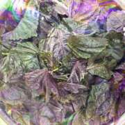 ヒメ日記 2025/06/04 23:23 投稿 綾野　れ　ん La elf（ラ・エルフ）