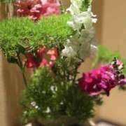 ヒメ日記 2025/06/14 16:03 投稿 綾野　れ　ん La elf（ラ・エルフ）