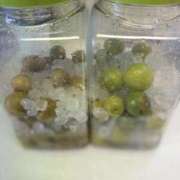 ヒメ日記 2025/06/17 11:03 投稿 綾野　れ　ん La elf（ラ・エルフ）