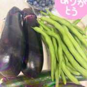 ヒメ日記 2025/07/04 23:53 投稿 綾野　れ　ん La elf（ラ・エルフ）