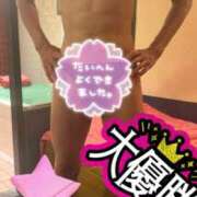 ヒメ日記 2025/08/15 15:03 投稿 綾野　れ　ん La elf（ラ・エルフ）