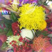 ヒメ日記 2026/01/06 09:33 投稿 綾野　れ　ん La elf（ラ・エルフ）