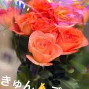 ヒメ日記 2026/02/04 22:43 投稿 綾野　れ　ん La elf（ラ・エルフ）