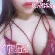 ヒメ日記 2025/01/30 04:16 投稿 ちあき ギャルズネットワーク神戸