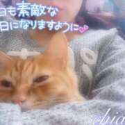 ヒメ日記 2026/01/25 12:16 投稿 ちあき ギャルズネットワーク神戸