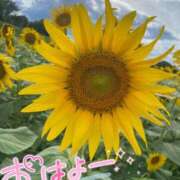 ヒメ日記 2026/08/18 14:48 投稿 ちあき ギャルズネットワーク神戸