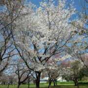 ヒメ日記 2026/04/02 23:59 投稿 天居　るり 川崎南町 素敵な奥様（川崎ハレ系）